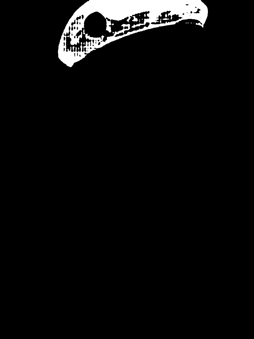 segment_anything_result_2_5